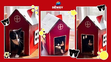 Vừa học vừa chơi từ cuộc thi sáng tạo tái chế 